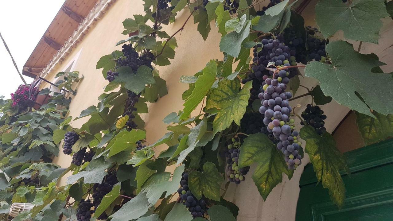 Scaccia Pensieri Villa Cerchio Ngoại thất bức ảnh